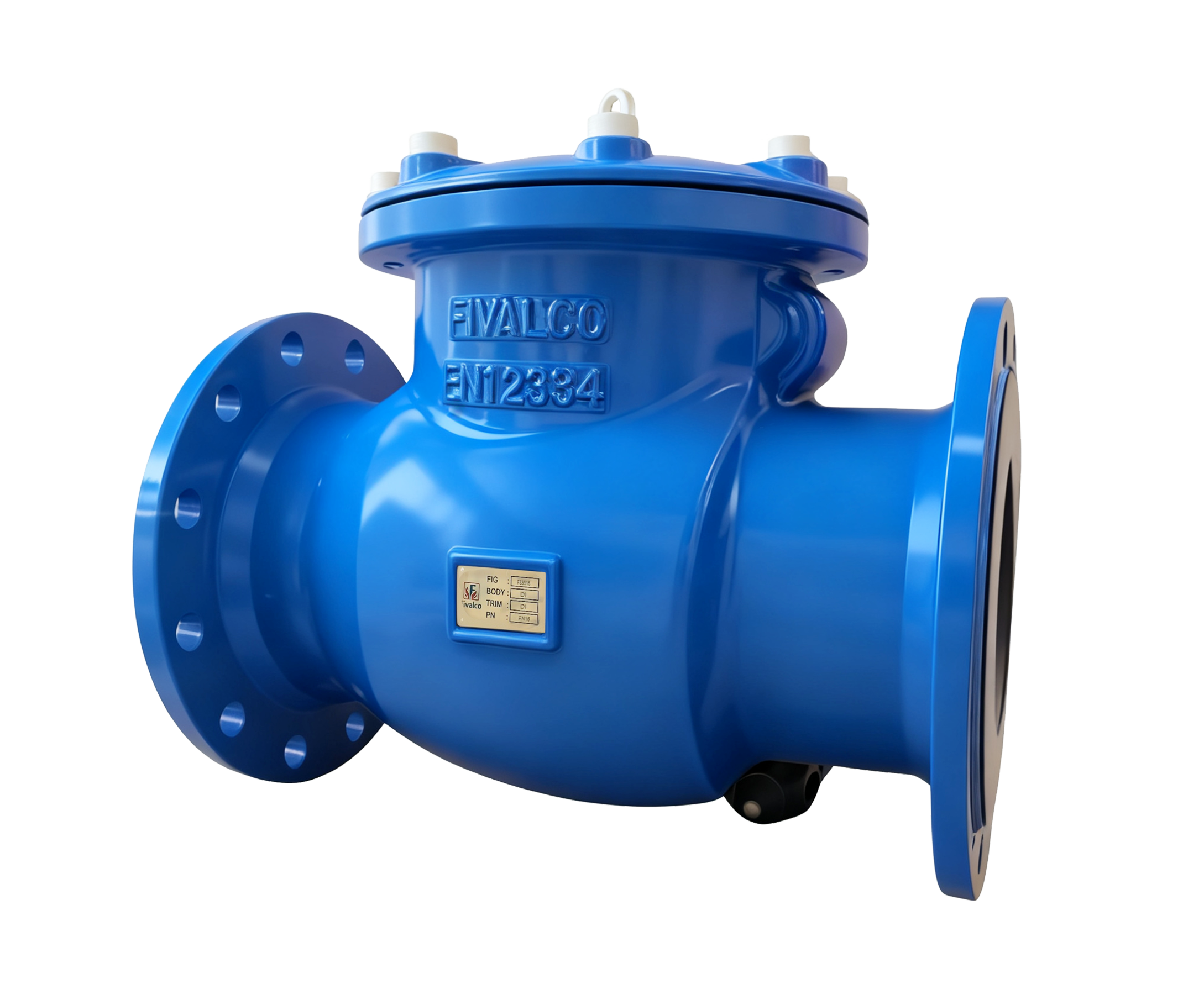 F53S SWING CHECK VALVE