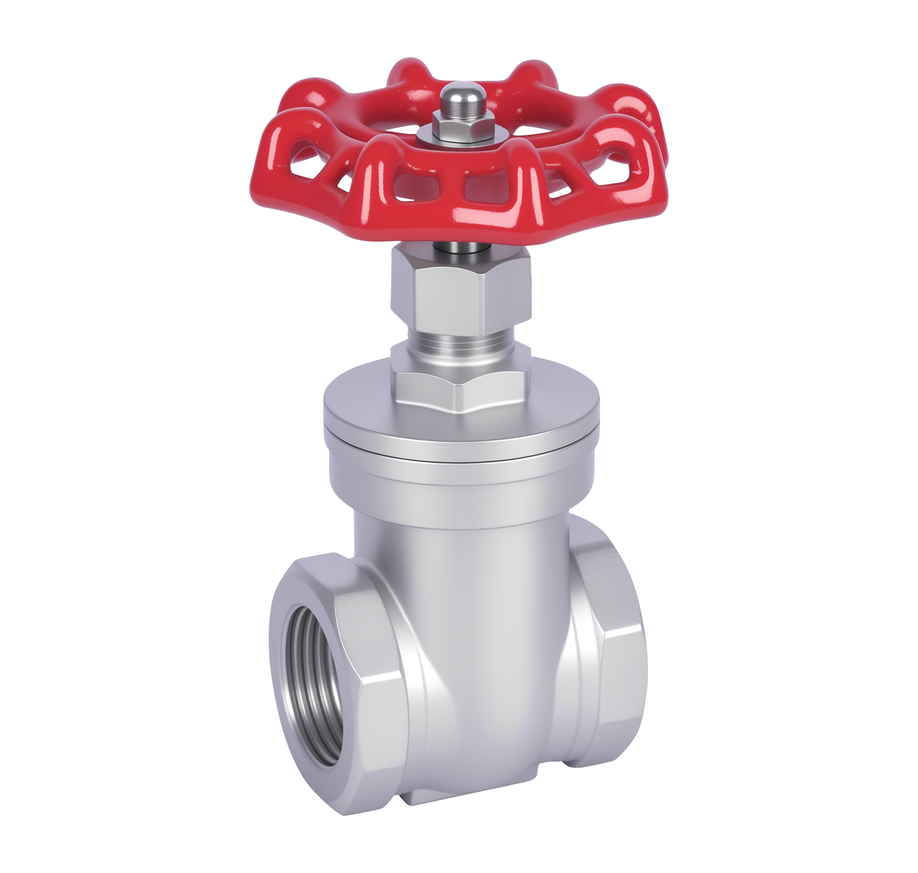 F2S200 SS NRS GATE VALVE